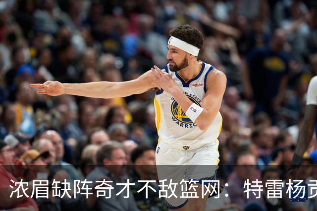 浓眉缺阵奇才不敌篮网：特雷杨贡献11+11+8失误 波特砍下22分压制状元